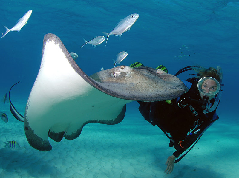 scuba diver swimming next to stingray in crystal clear blue water
